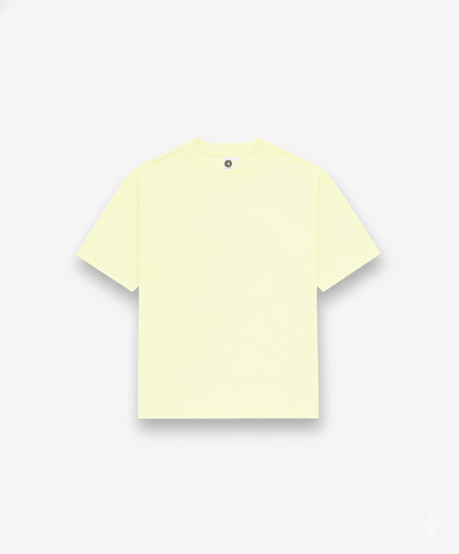 Heavyweight T-shirt - Colour Plane Blanks
